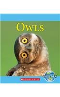 Owls: (Nature's Children (Children's Press Paperback))