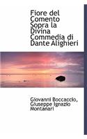 Fiore del Comento Sopra La Divina Commedia Di Dante Alighieri