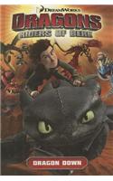 Dragons: Riders of Berk, Volume 1