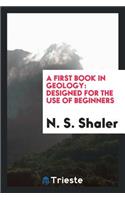 A First Book in Geology: Designed for the Use of Beginners: Designed for the Use of Beginners