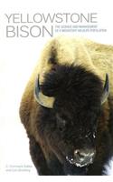 Yellowstone Bison