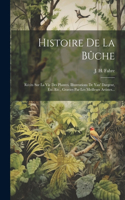 Histoire De La Bûche