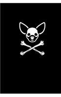 (Chihuahua)