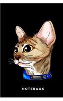 Notebook: Devon Rex Cat