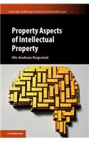Property Aspects of Intellectual Property