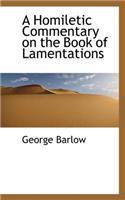 A Homiletic Commentary on the Book of Lamentations: (English)