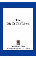 The Life of the Weevil