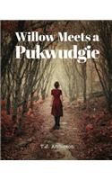 Willow Meets a Pukwudgie