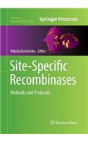 Site-Specific Recombinases