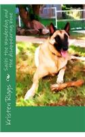 Sachi the Wonderdog and the disappearing bone