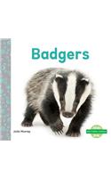 Badgers: (Nocturnal Animals)