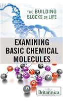 Examining Basic Chemical Molecules