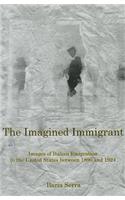 The Imagined Immigrant