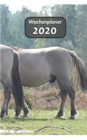 Wochenplaner 2020: Der individueller Lebensplaner & Terminkalender um dein Leben zu organisieren. Wochenplaner ohne Datum