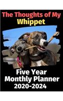The Thoughts of My Whippet