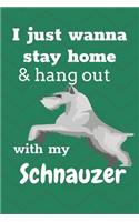 I Just Wanna Stay Home And Hang Out With My Schnauzer
