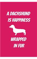 A Dachshund Is Happiness Wrapped in Fur