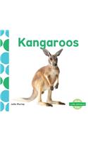 Kangaroos