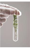 Soluciona Tu Diabetes Naturalmente