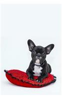 Diabetic Log Book: Portable Blood Glucose Chart, Daily Diary - Small Notebook - Bull Dog