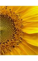Flower Notebook Large Size 8.5 x 11 Ruled 150 Pages Softcover