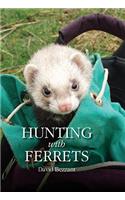 Hunting with Ferrets