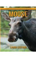 Moose
