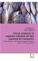 Tissue Damage in Various Organs of Red Snapper by Parasites