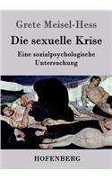 sexuelle Krise: Eine sozialpsychologische Untersuchung