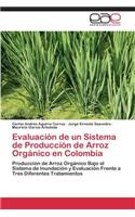 Evaluación de un Sistema de Producción de Arroz Orgánico en Colombia