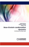 Bose-Einstein Condensation Dynamics