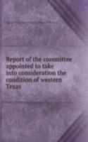 Report of the committee appointed to take into consideration the condition of western Texas