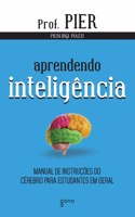 Aprendendo inteligência