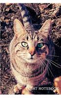 Cat notebook: Cat notebook, Motivational Notebook, Journal, Diary (110 Pages, Lined, 6 x 9)