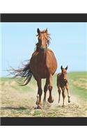Beautiful Horses Notebook