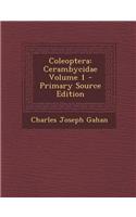 Coleoptera