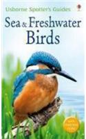 Sea and Freshwater Birds