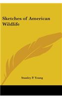 Sketches of American Wildlife
