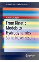 From Kinetic Models to Hydrodynamics: Some Novel Results