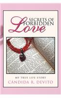 Secrets of Forbidden Love