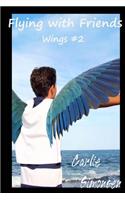 Flying with Friends: Wings #2