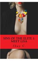 Sins of The Elite 1
