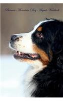 Bernese Mountain Dog August Notebook Bernese Mountain Dog Record, Log, Diary, Special Memories, To Do List, Academic Notepad, Scrapbook & More