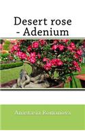 Desert rose-Adenium
