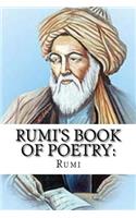 Rumi's Book of Poetry