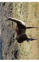 A Guanaco Lama guanicoe Torres del Paine National Park Patagonia Chile Journal: 150 Page Lined Notebook/Diary