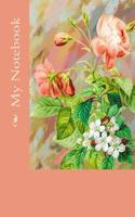 My Notebook: (English)