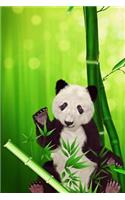 Panda Bear with Bamboo Illustration Journal