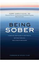 Being Sober: A Step-By-Step Guide to Getting To, Getting Through, and Living in Recovery