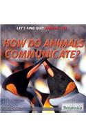 How Do Animals Communicate?